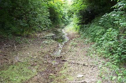 {short description of image}