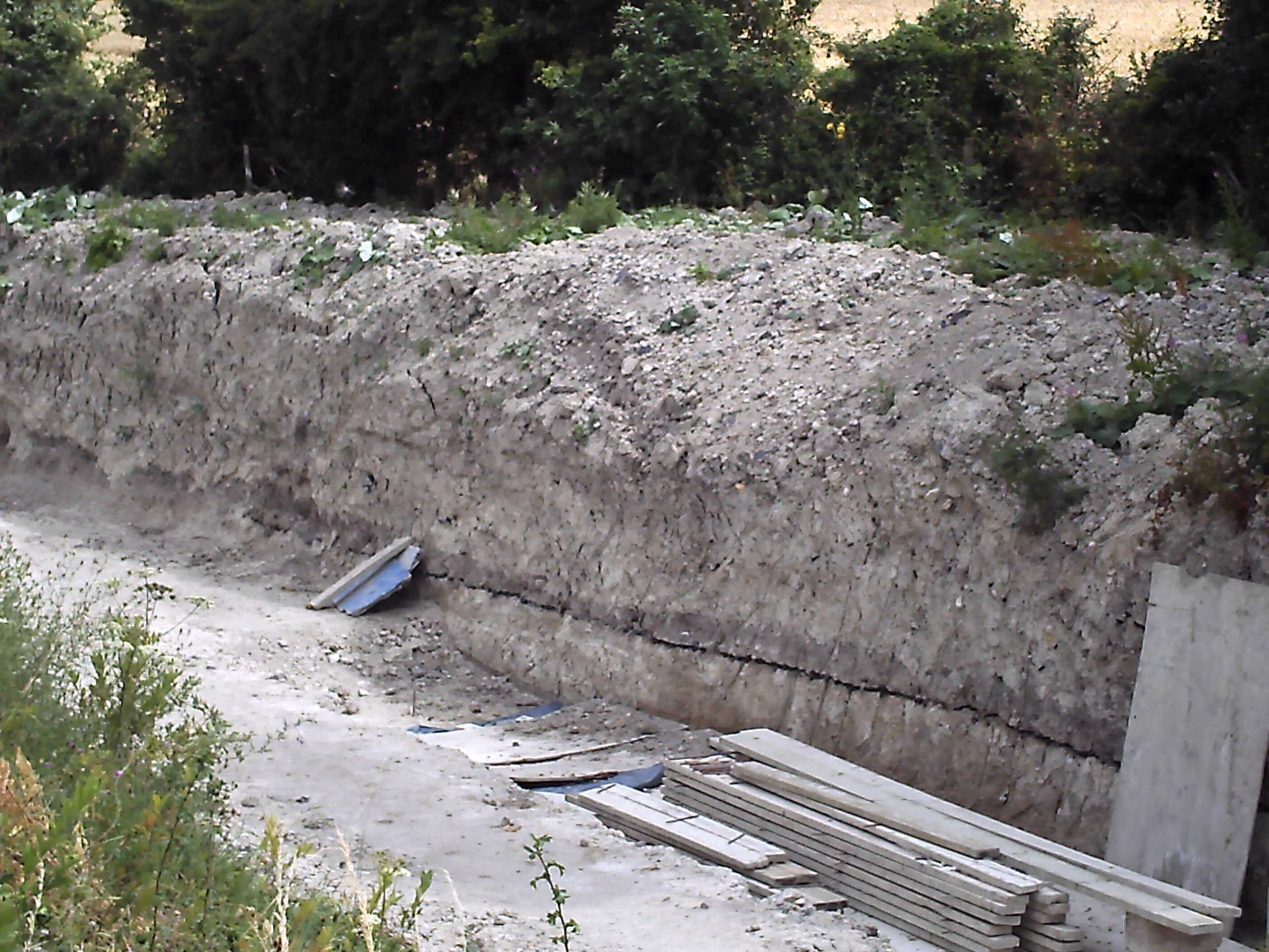 {short description of image}